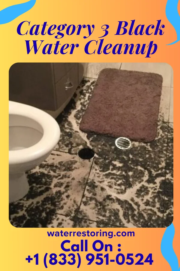 Category 3 Black Water Cleanup in Cannonsburg, KY