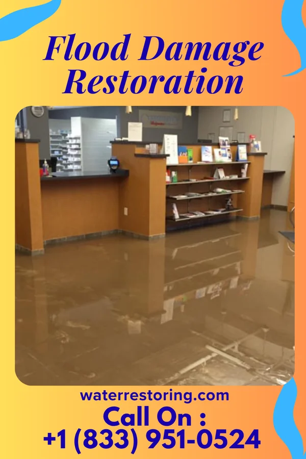 Flood Damage Restoration in Cannonsburg, KY