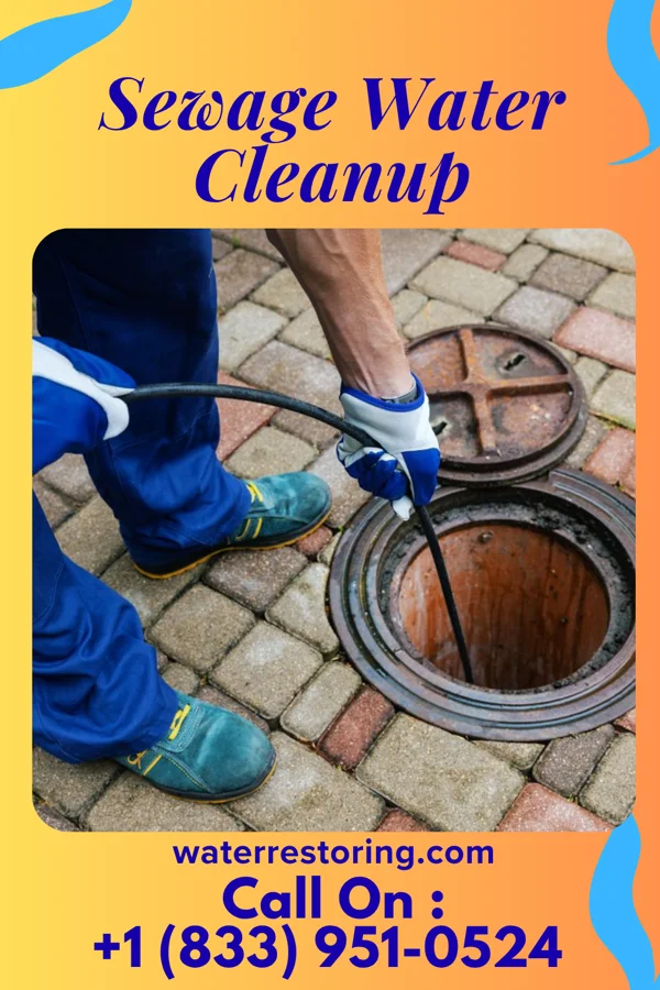 Sewage Water Cleanup in Cannonsburg, KY